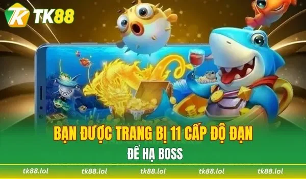 Bạn được trang bị 11 cấp độ đạn để hạ boss