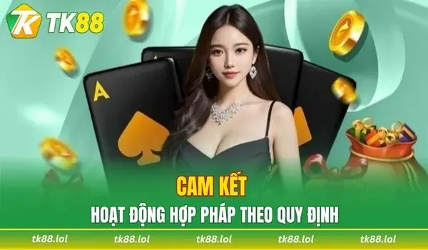 Cam kết hoạt động hợp pháp theo quy định